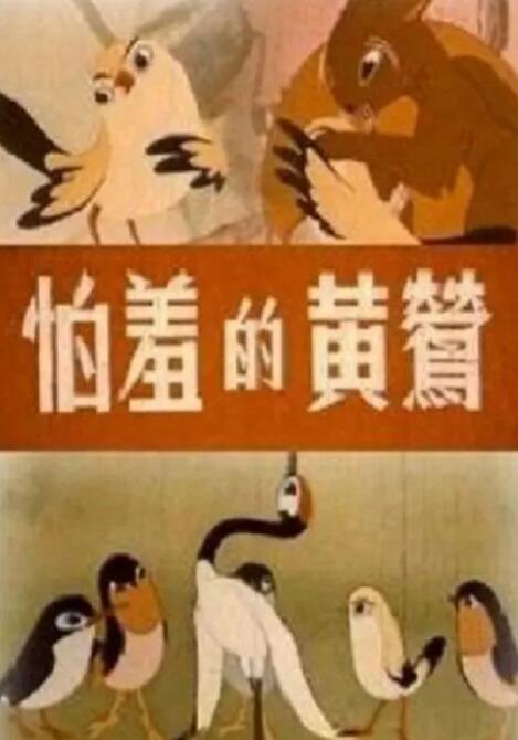 51精品视频在线一区二区