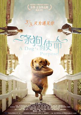 亚洲欧美日韩另类在线专区