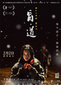 国产成a人亚洲精v品久久网