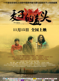 0%可用,已接通电源,未充电怎么办