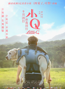 99久久伊人一区二区yy5099