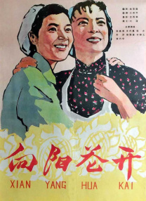 一级毛片特黄久久免费看