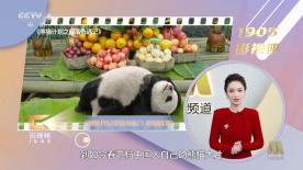 一区二区免费播放